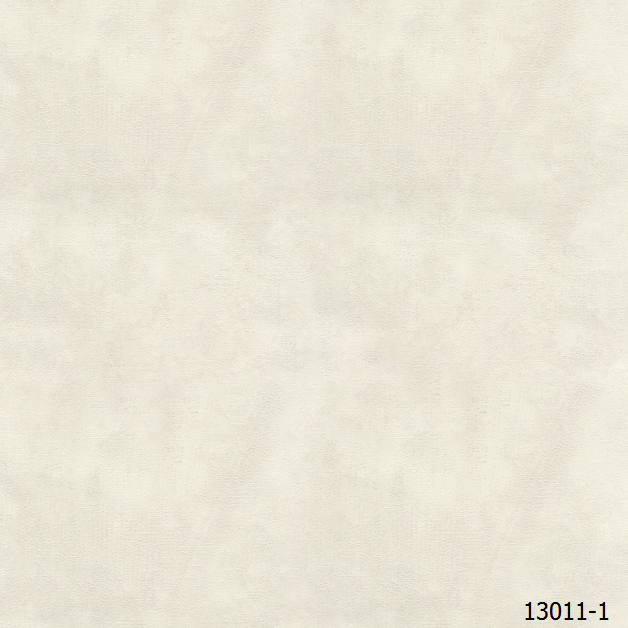 13011-1.png