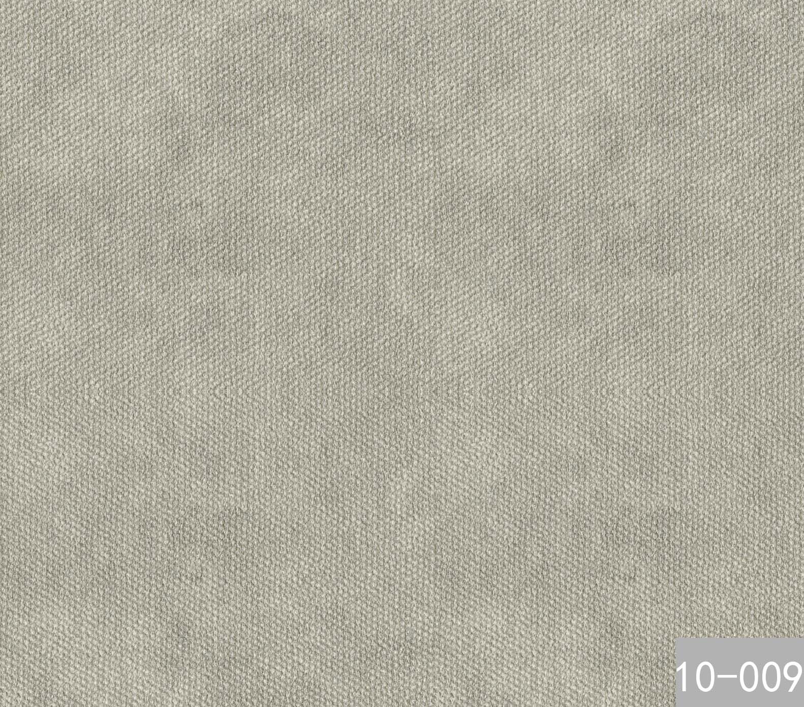 10-009
