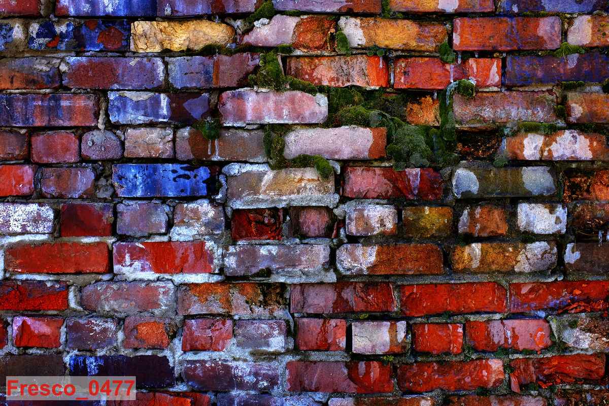 Fresco_0477